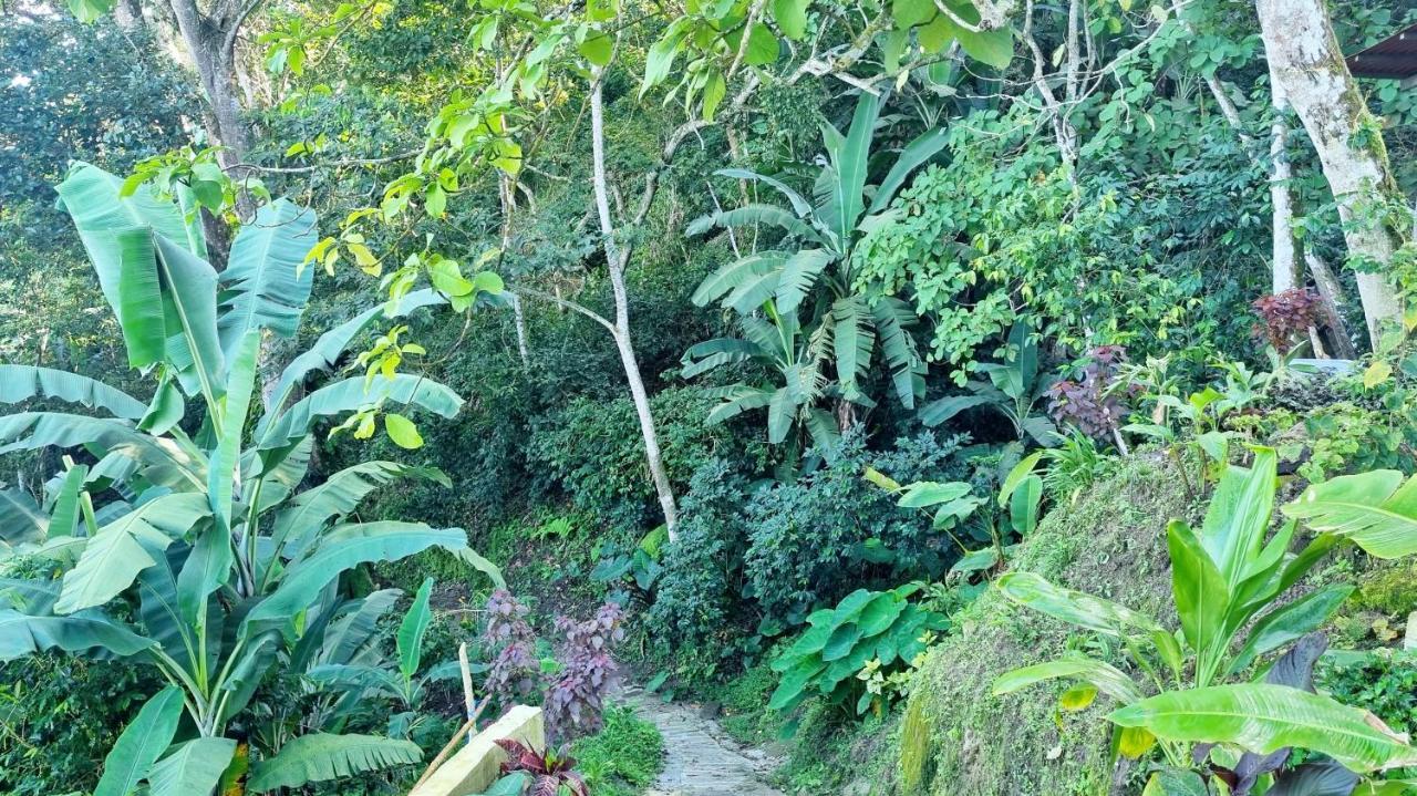 Minca Sintropia - Sustainable Lodge & Organic Coffee Finca Luaran gambar