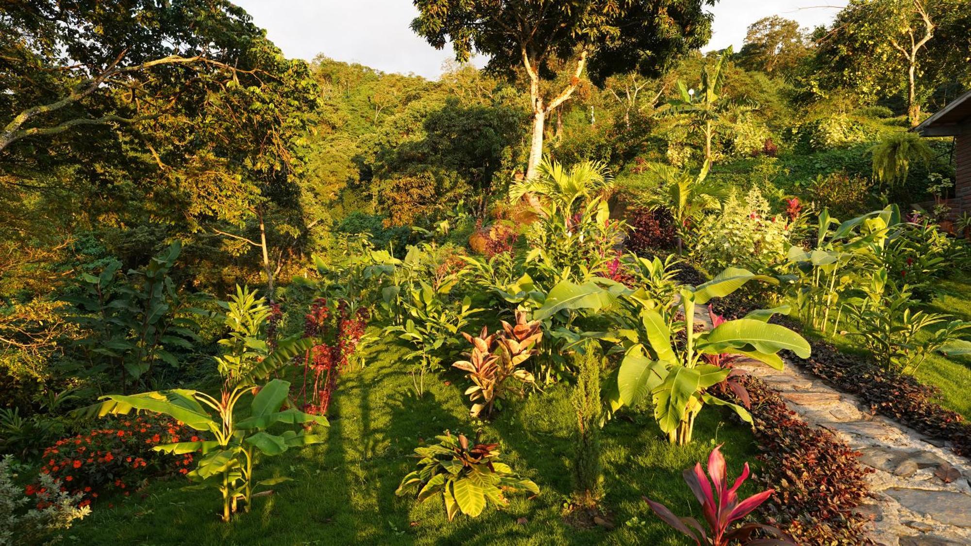 Minca Sintropia - Sustainable Lodge & Organic Coffee Finca Luaran gambar