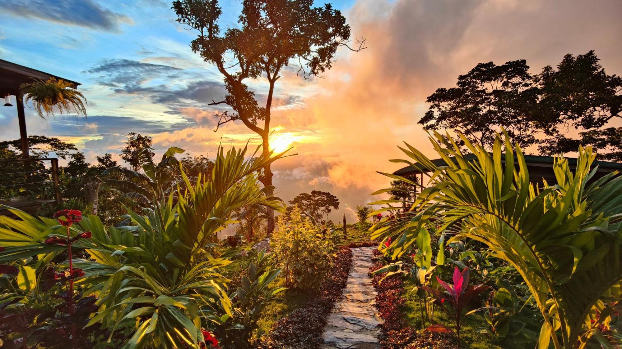 Minca Sintropia - Sustainable Lodge & Organic Coffee Finca Luaran gambar