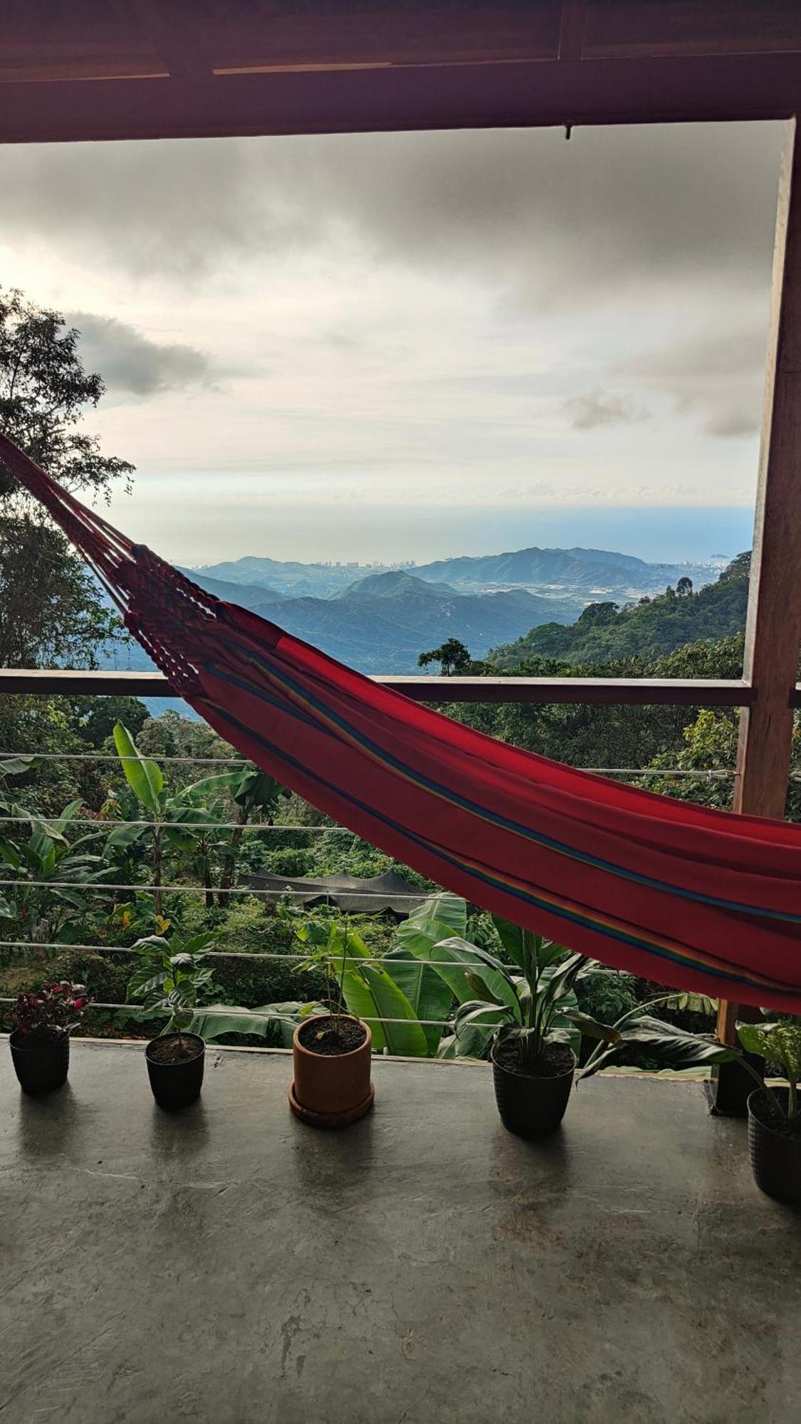 Minca Sintropia - Sustainable Lodge & Organic Coffee Finca Bilik gambar