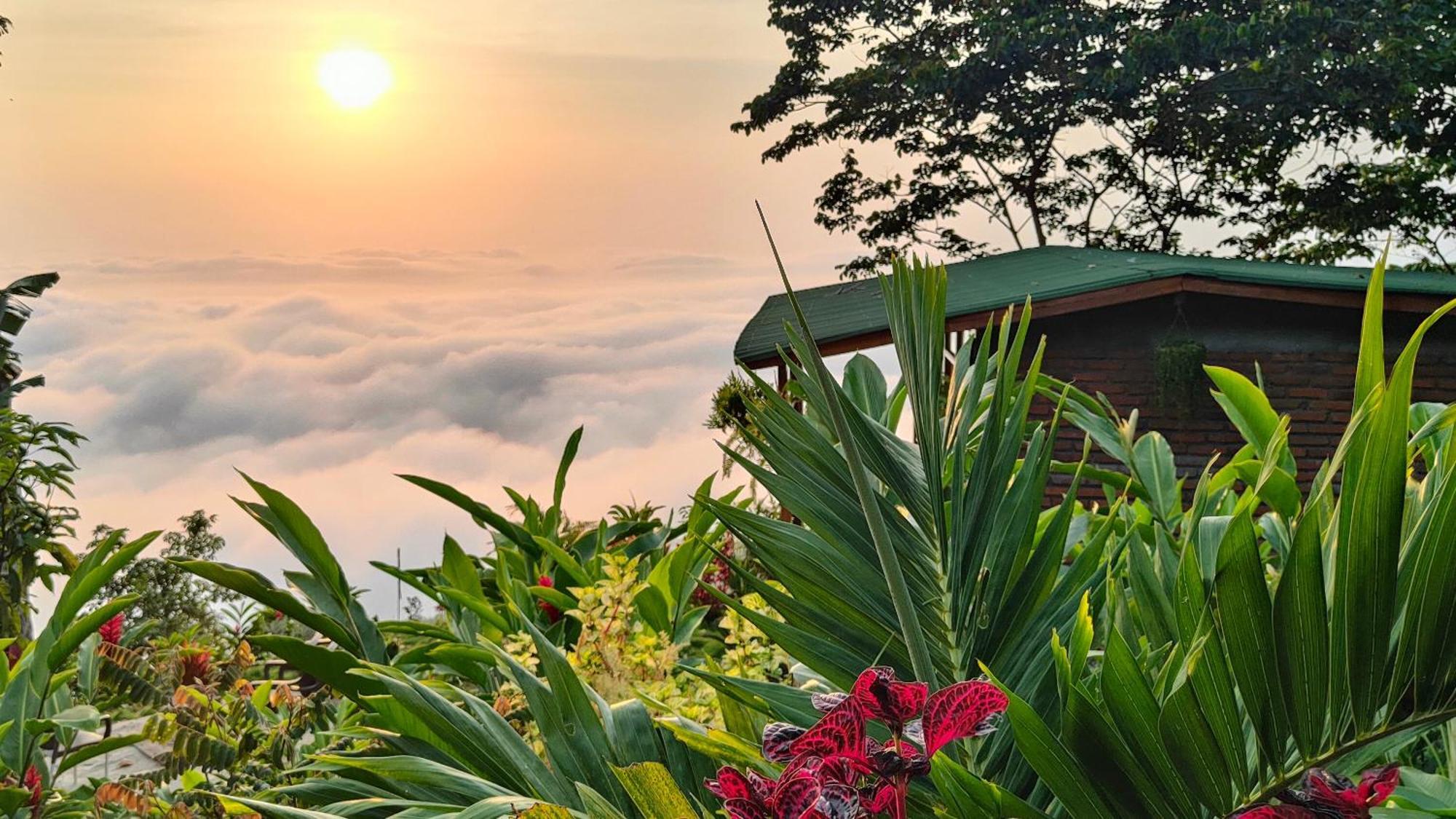 Minca Sintropia - Sustainable Lodge & Organic Coffee Finca Luaran gambar